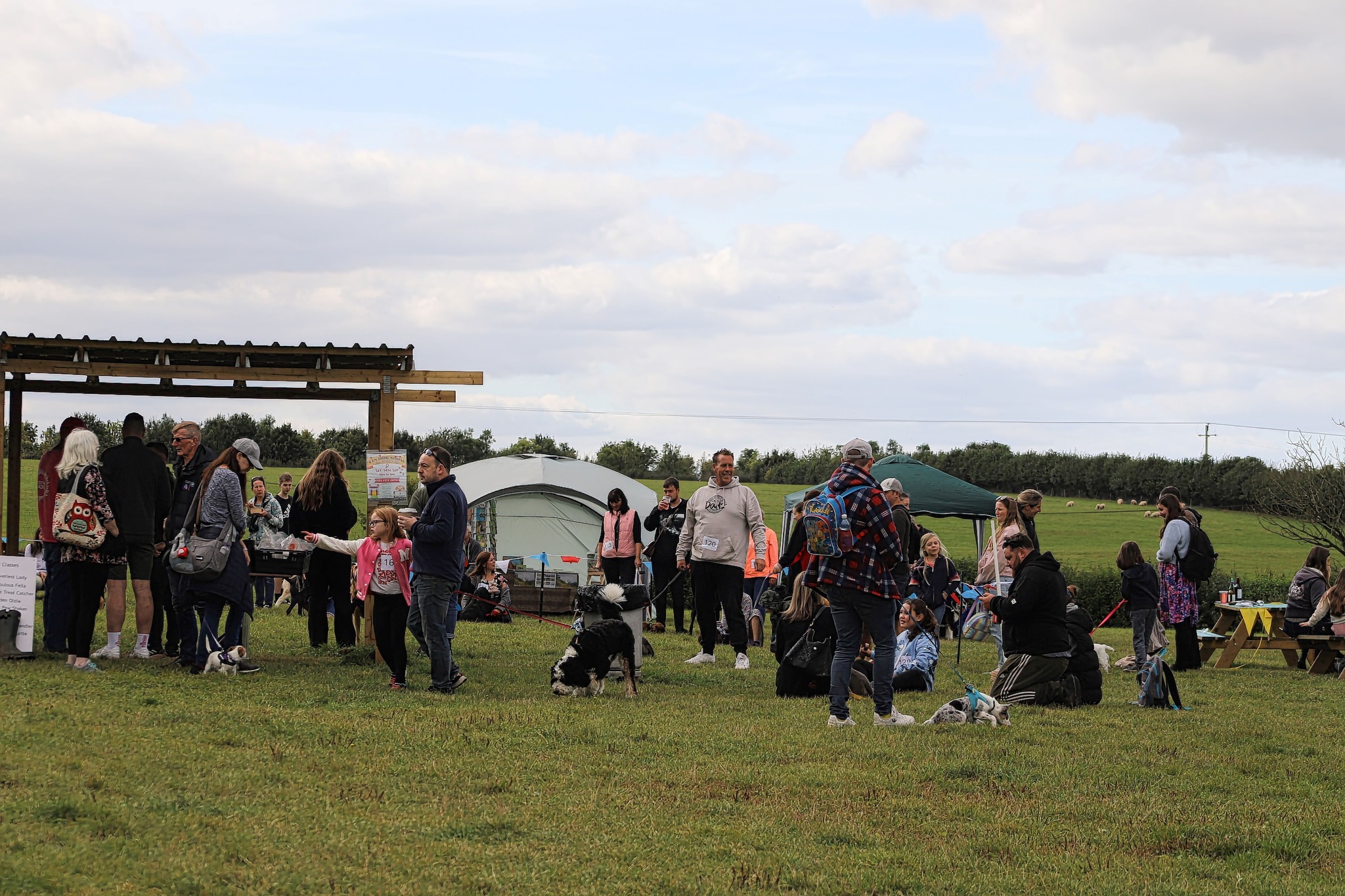 T&T Pet Field and Café prepares for pawsome Annual Dog Show and Fete