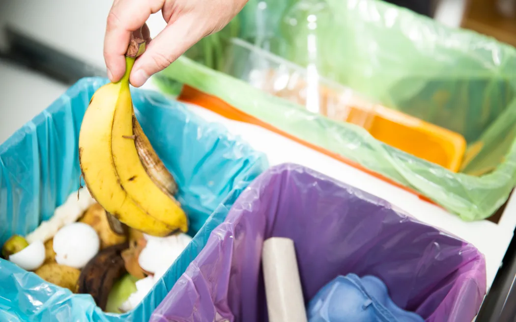 Weekly Food Waste Collections to Launch Across Overton This October