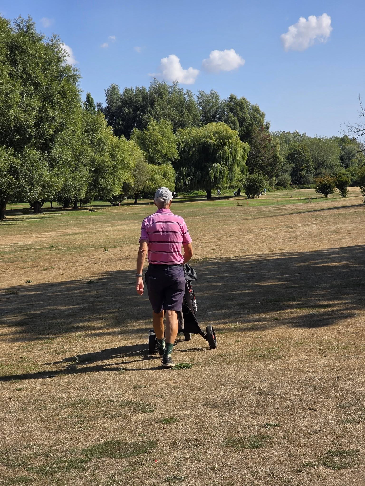 Town Meadow Golf Club Continue Winning Ways Against Worldham Exiles