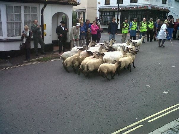 Overton Sheepfair 2024: Who’s performing where?