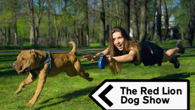 Red Lion Overton Dog Show 2026