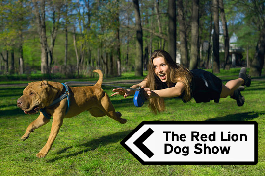 Red Lion Overton Dog Show 2026